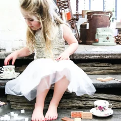 Iconic Toy - Australian Arnott's Bickies