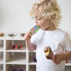 Iconic Toy - Australian Ice Creams Melt