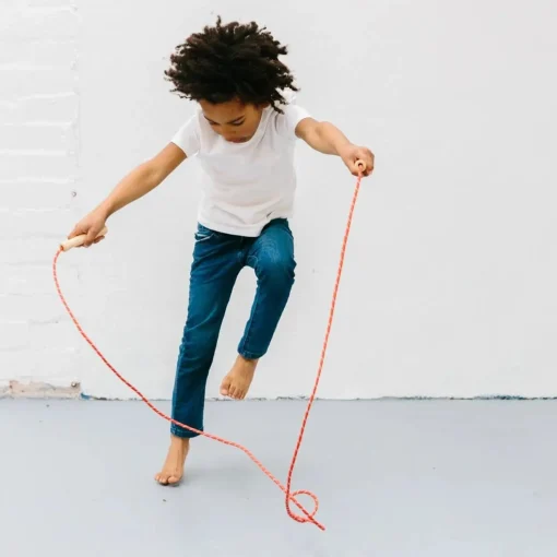 Iconic Toy - Skipping Rope