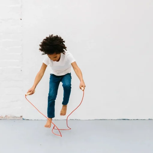Iconic Toy - Skipping Rope