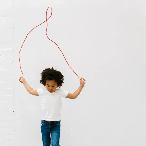 Iconic Toy - Skipping Rope