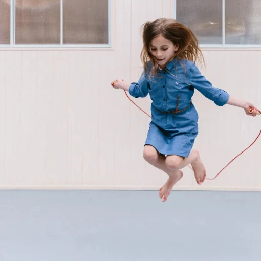 Iconic Toy - Skipping Rope