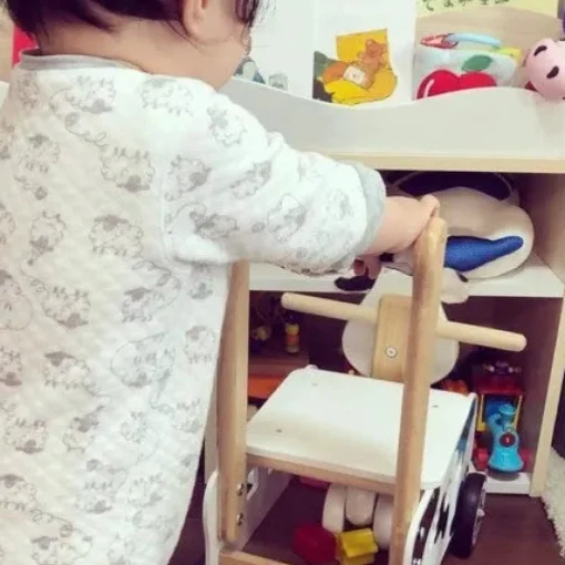 I'm Toy | Walk and Ride Cow Sorter