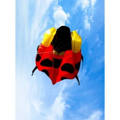 Inflatable Ladybird