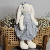 Lucy the Rabbit
