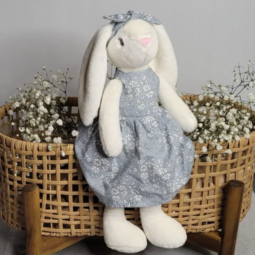 Lucy the Rabbit