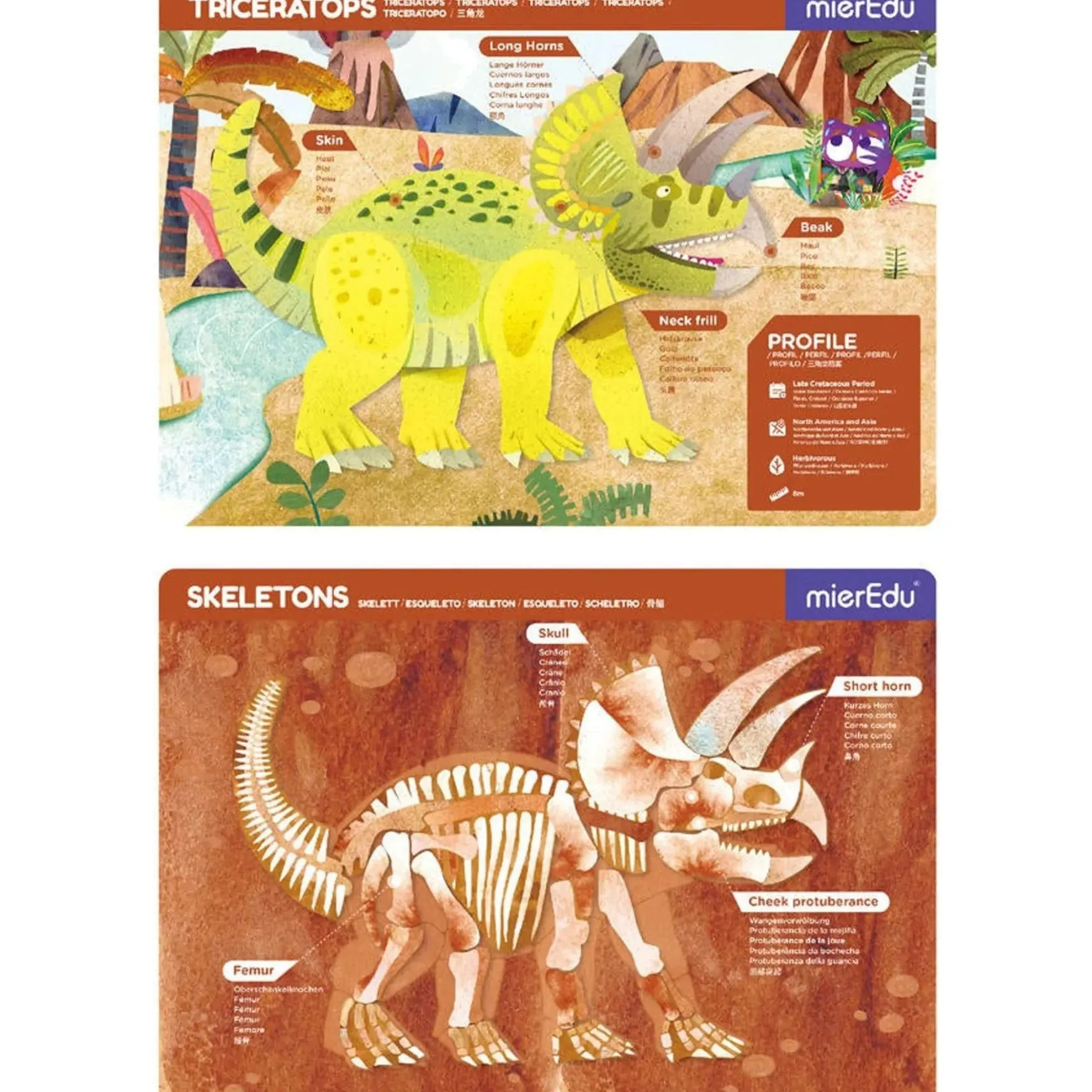 Magnetic Pad - Triceratops