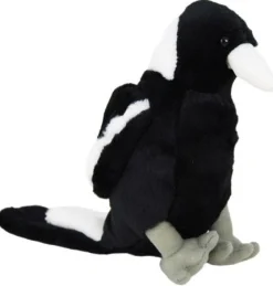 Magpie with Sound