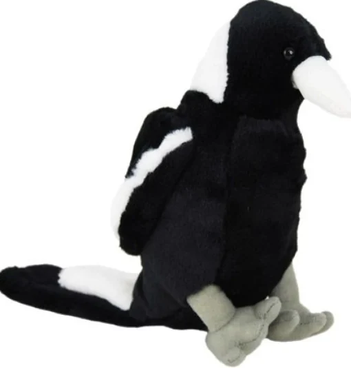 Magpie with Sound