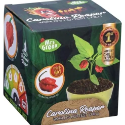Mrs Greens | Carolina Reaper Chilli Growing Kit: The World's Hottest Chilli