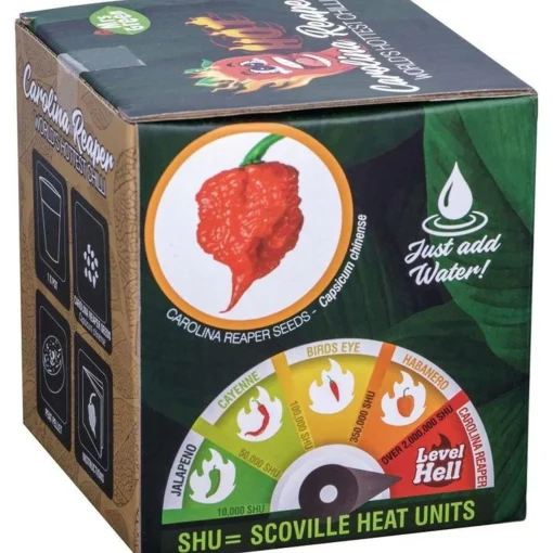 Mrs Greens | Carolina Reaper Chilli Growing Kit: The World's Hottest Chilli