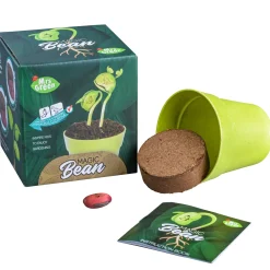 Mrs Greens | Magic Beans