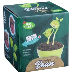 Mrs Greens | Magic Beans