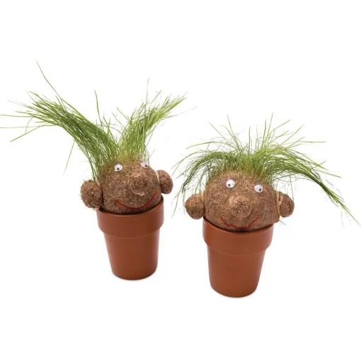 Mrs Greens | Pot Head