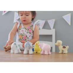 My First Farm Animal