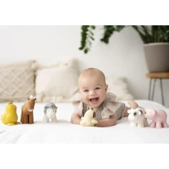 My First Farm Animal