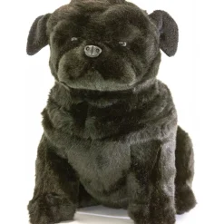 Oreo the Pug