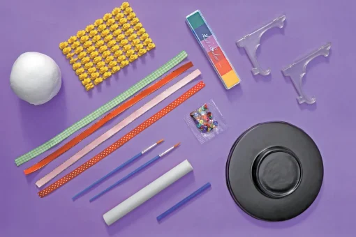 Pet Paw Print Kit
