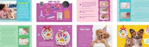 Pet Paw Print Kit