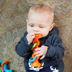 PipSquigz Loops - Orange