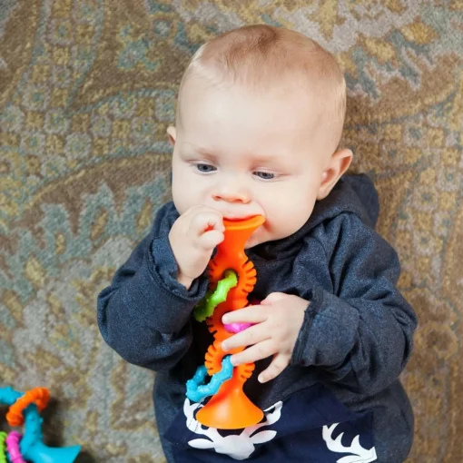 PipSquigz Loops - Orange