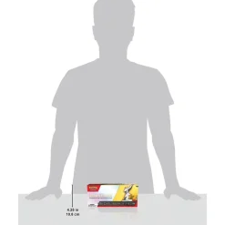 POKÉMON TCG 2023 Trainer's Toolkit