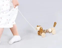 Pull a long Sausage Dog