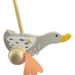 Push Along Wild Goose