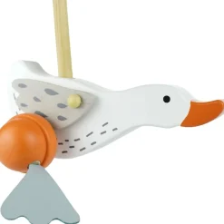 Push Along Wild Goose