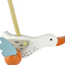 Push Along Wild Goose