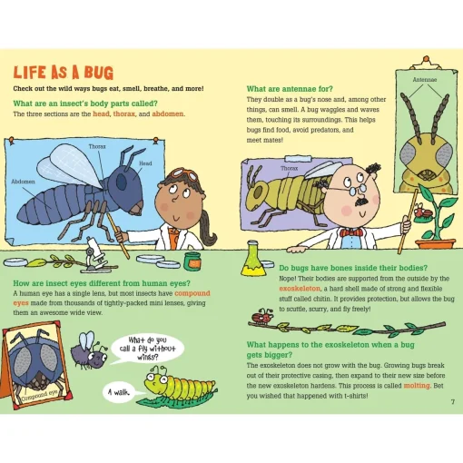 100 Questions About Bugs