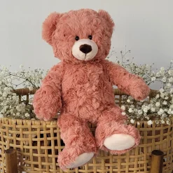 Rusty the Bear