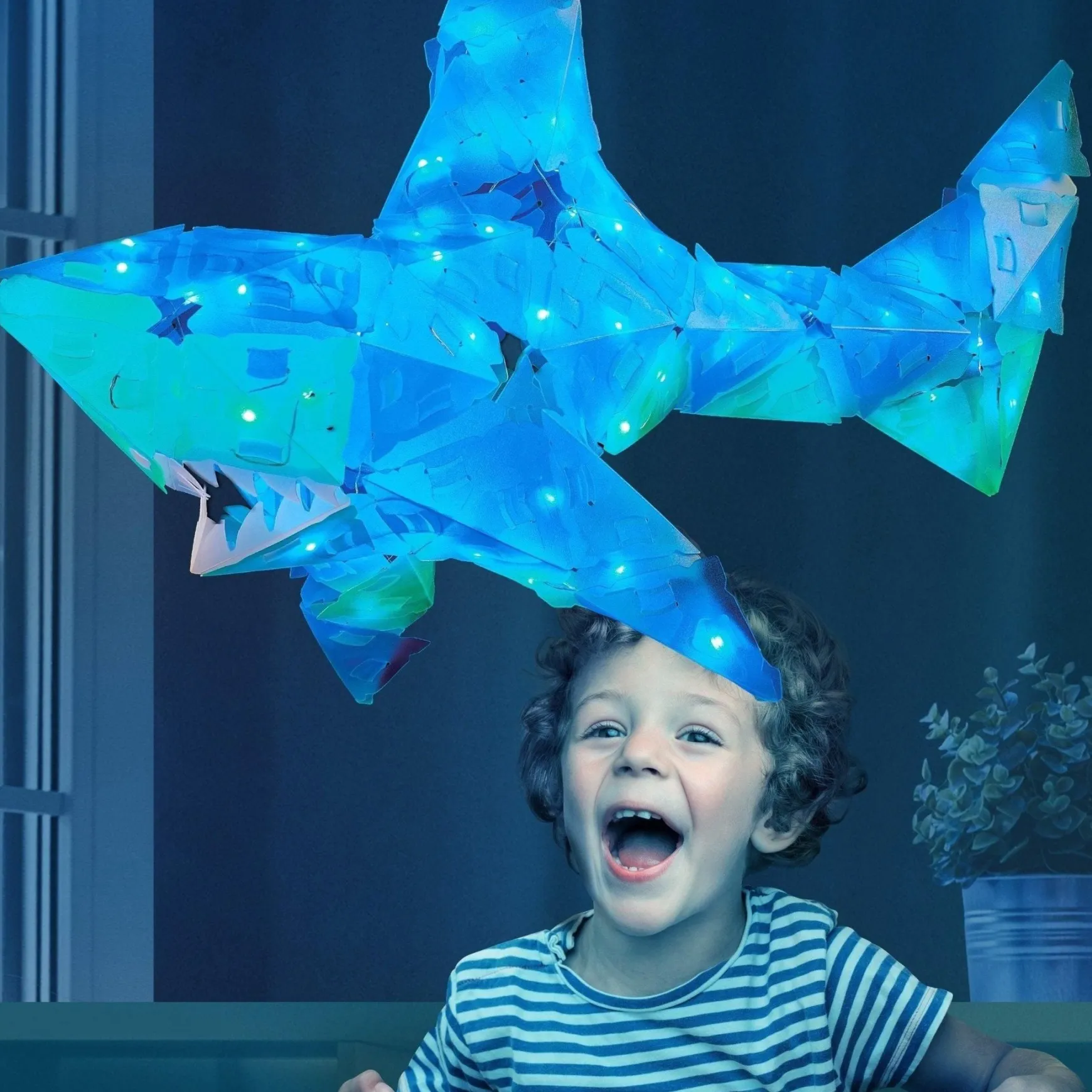 Shimmer Shark and Ocean Pals