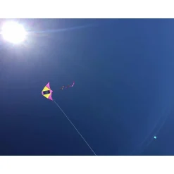Single Line Kite: Electric
