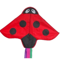 Single Line Kite: Ladybird