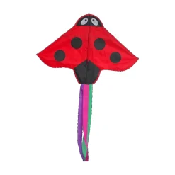 Single Line Kite: Ladybird