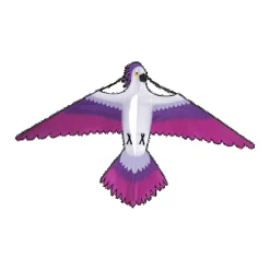 Single Line Kite: Parrot