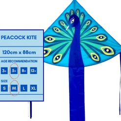 Single Line Kite: Peacock
