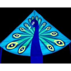 Single Line Kite: Peacock