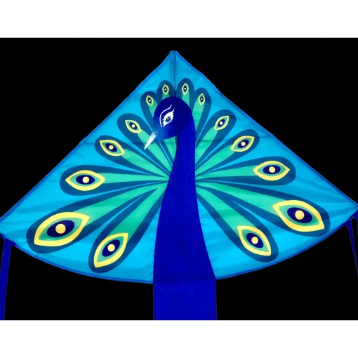 Single Line Kite: Peacock