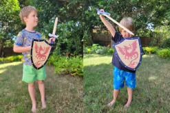 Sword and Shield - Dragon