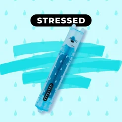 Teddy's Mood - Set of 6 Highlighters