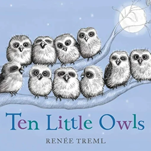 Ten Little Owls
