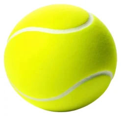 Tennis Ball