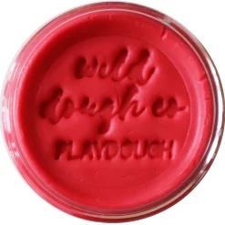 Wild Dough Playdough - Brights